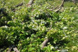 Tornado causa destrozos en Grayslake
