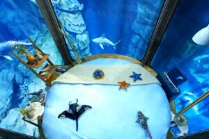 airbn-paris-aquario-dormir-tubaroes-2.jpg