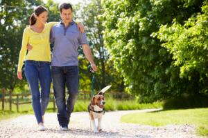 DatingDogWalking.jpg