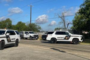 70 animales mascotas malas condiciones san antonio texas