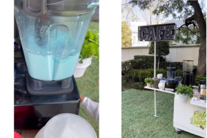 zuria-vega-alberto-guerra-hija-fiesta-cumpleanos (1).png