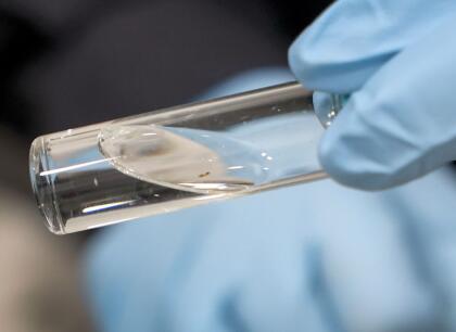 MIAMI, FLORIDA - FEBRUARY 12: Skarlette Zelada, U.S. Customs and Border Protection Agriculture Specialist, holds a bottle containing a larva she found while inspecting flowers for foreign pests or diseases in the FedEx Cargo hub at Miami International Airport on February 12, 2025 in Miami, Florida. FedEx transfers millions of fresh flowers through the hub for Valentine's season by increasing air capacity from Colombia and Ecuador. They will transport over 2.2 million pounds of flowers from these countries in February. (Photo by Joe Raedle/Getty Images)