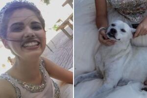 Perrito callejero roba reflectores a quinceañera en sesión de fotos: “Los XV de Firulais”