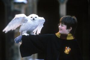 'Harry Potter y la piedra filosofal' (2001)