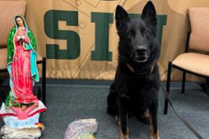 Hallan 10,000 pastillas de fentanilo ocultas en una escultura de la Virgen de Guadalupe