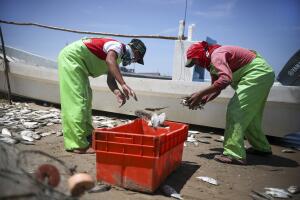 Mexico Unknown Border