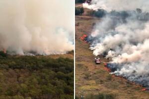 Amenaza un incendio forestal a hogares y escuelas en el este de Austin, Texas