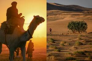 Árboles solitarios crecen en el desierto del Sahara y la ciencia explica por qué.