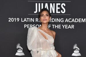 The 20th Annual Latin GRAMMY Awards- Person Of The Year Gala – Arrivals