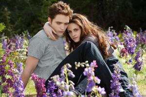 Robert Pattinson y Kristen Stewart protagonizaron la saga que arrancó en 2008 y finalizó en 2012