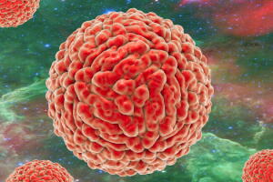 zika-virus-causa-morte-1.jpg