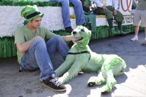 Chicago Celebrates St. Patricks Day