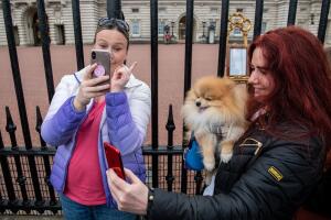 Crowds Flock To Buckingham Palace For New Royal Baby Announcement