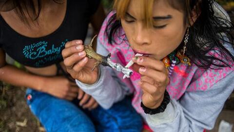 Wera pa' (mujer falsa): Así viven las indígenas transgénero en ...