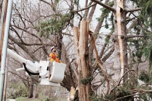 fuertes tormentas provocan fallas en energia electrica