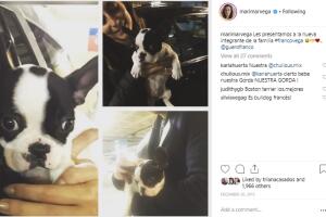 nuevo integrante.jpg