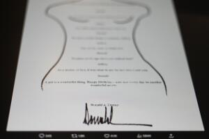 TRUMP-EPSTEIN