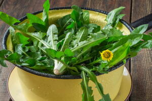 Saiba como preparar uma salada com ingrediente que turbina a dieta