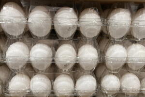 Egg Prices