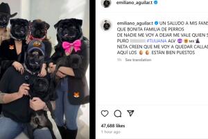 Esta es la imagen que Emiliano Aguilar publicó en Instagram en la que colocó una cara de perro en los rostros de Pepe Aguilar y su actual familia, incluyendo a su esposa Aneliz y Ángela Aguilar.   
