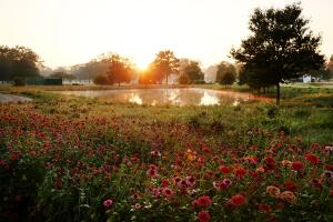 Sanderson Farms Championship - Round Two