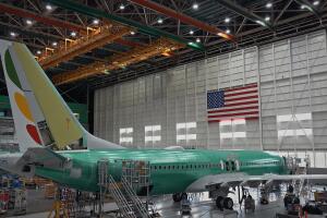 Descenso- El caso contra Boeing.jpeg