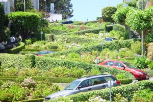 Most crooked street in the world, Lombard Street, San Francisco