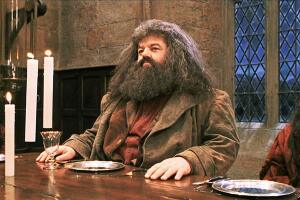 hagrid-_pelicula-_harry_potter.jpg