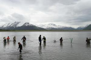 Alaska pescadores