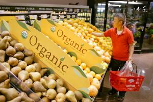 Organic Going Global