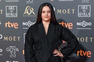 Goya Cinema Awards 2019 - Red Carpet