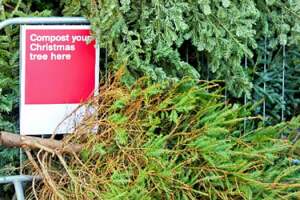 Árbol Navidad reciclaje