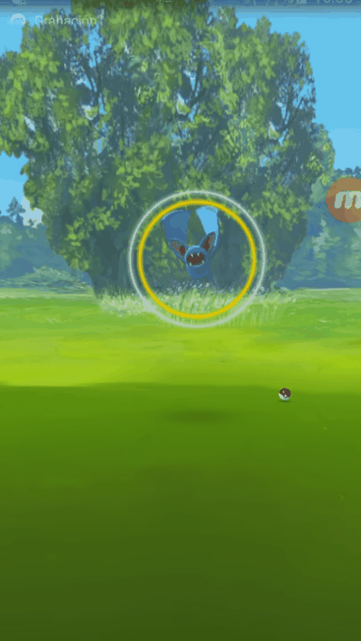 zubat loco