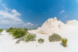 dunas-blancas-coahuila.jpg