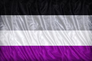 Bandera asexualidad