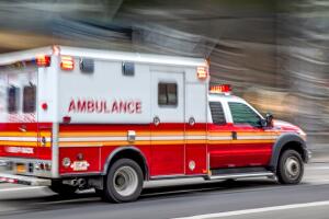 Hombre muere tras ser atacado por tres pitbulls en Newark al intentar separarlos.