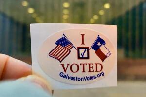 I Voted Texas
