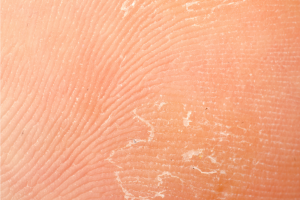 istock_000031792404_medium-cortada.png