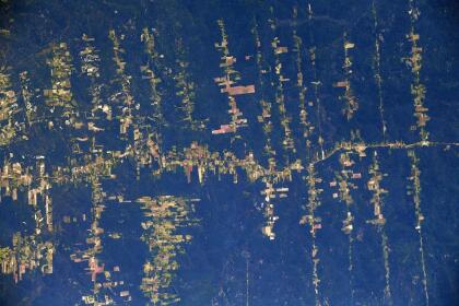 Deforestation La forêt amazonienne ☁️☁️ Un symbole environnemental qui saute aux yeux depuis ici, avec sa grosse masse d’arbres sombre parsemée de nuages. Et, oui, on voit nettement les coupes, qui remontent le long des cours d’eau. Un des résultats de la déforestation, c’est une augmentation très nette de l’érosion, et donc des sédiments charriés par les rivières vers l'océan (d’où la couleur marron), détériorant encore plus les berges... Deforestation in the Amazon, you can clearly see where the rain forest has been removed. Without the trees and their roots erosion and sedimentation pollute the rivers. The Amazon forest has become a visual symbol for Earth's ecological reserves but there is much more to humankind's ecological footprint, from the oceans and fishing to urban infrastructure and agriculture.