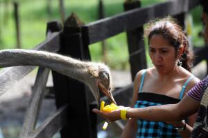 Hacienda Nápoles Pablo Escobar