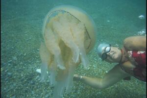 Una selfie con medusas