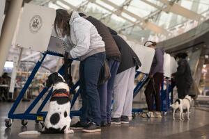 Election 2022 New York