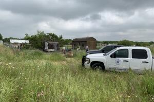 perros sujeto/perros 5.jpg