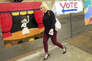 Texas Election Day