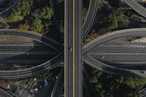 APOPIX Virus Outbreak Venezuela