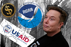 ELon Musk.png