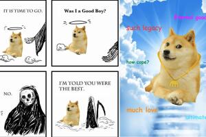 kabosu_meme_dog (4).jpg