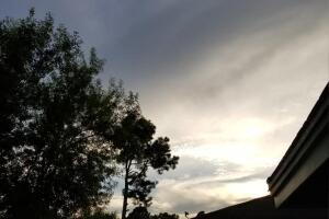 Martha Castillo‎.jpg