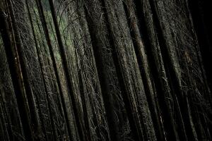 ENVIRONMENT-US-TOURISM-DROUGHT-YOSEMITE