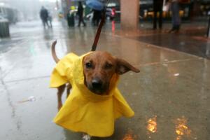 Nor'Easter Bears Down On East Coast